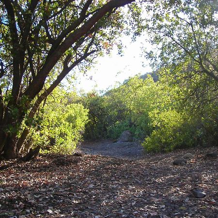 San José de Maipo Las Lomitas De Guayacan, Cabanas Y Spa المظهر الخارجي الصورة