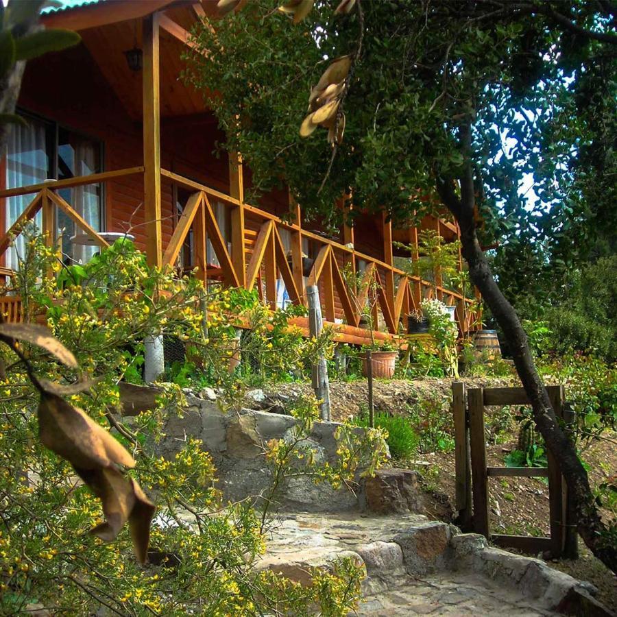 San José de Maipo Las Lomitas De Guayacan, Cabanas Y Spa المظهر الخارجي الصورة