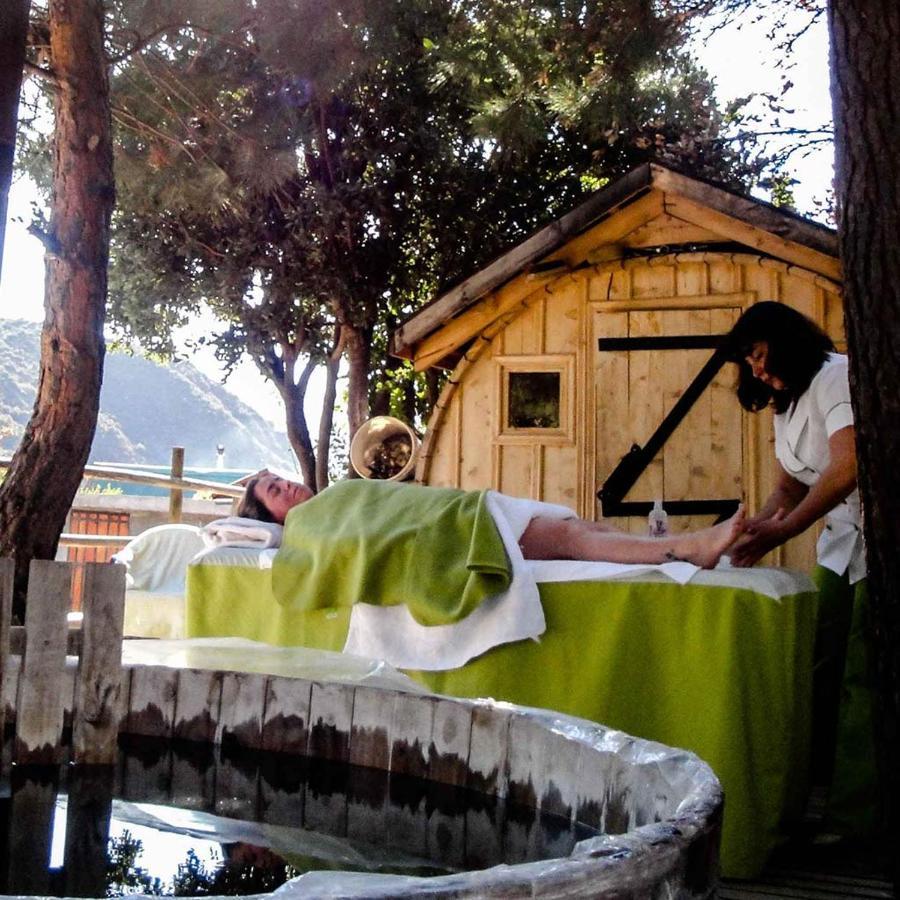 San José de Maipo Las Lomitas De Guayacan, Cabanas Y Spa المظهر الخارجي الصورة
