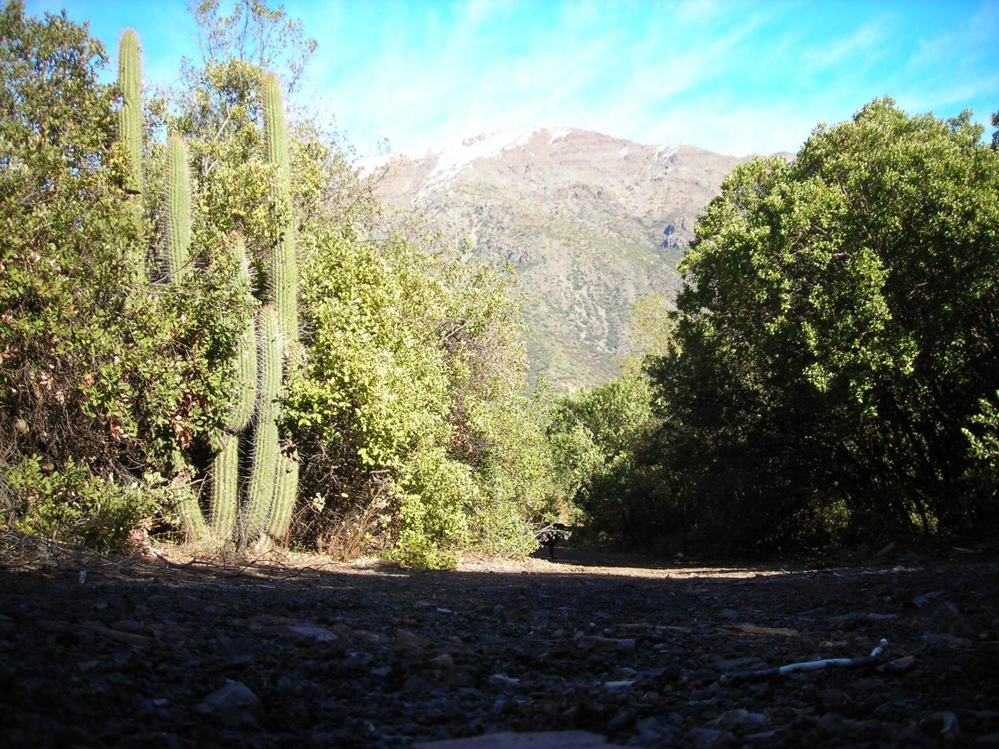 San José de Maipo Las Lomitas De Guayacan, Cabanas Y Spa المظهر الخارجي الصورة